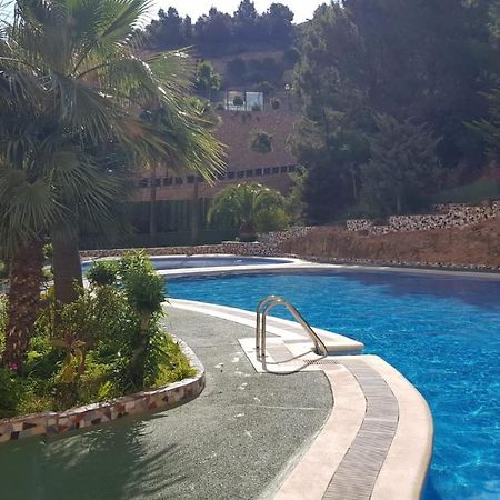 Apartamento Benidorm Viena מראה חיצוני תמונה